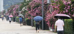 이번 주 정체전선 영향으로 대구경북에도 비 소식…일부 최대 100㎜