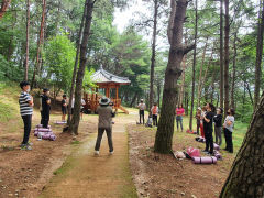 성주군 '숲에서 몸쉼 맘쉼 프로그램' 관광객들에 큰 인기