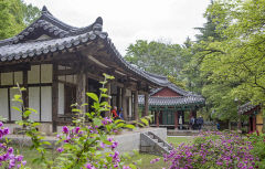 [구미 가볼만한 곳] 구미 채미정 고려 삼은 야은 길재의 곧은 선비 정신 담아낸 정자
