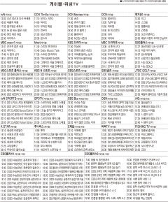 8월24일(수) 케이블·위성TV 편성표