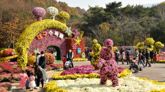 대구수목원, 구조 야생동물 방사…식물과 동물 공존 녹색 휴식처 만든다