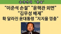 [송국건의 혼술] ‘김무성 민주평통 수석부의장’ 내정 취소? “윤핵관 추천”이어서?