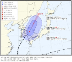 대구와 의성 예천 문경 상주 김천 칠곡 성주 고령 청도 군위 경산 구미 태풍경보 낮12시 기해 해제