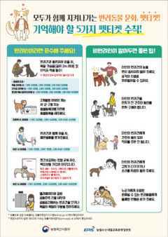 대구시, 반려견 안전관리 집중 단속