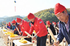 11월 2일~6일 ‘제16회 청송사과축제’  준비 ‘착착’