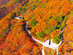 [성주 가볼만한 곳] 독용산성길 알록달록한 성주의 가을을 배경으로 인생샷