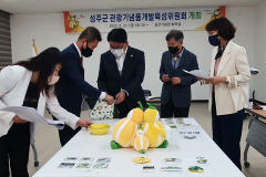 성주 마스코트 '참별이'…관광기념품 11월 출시
