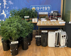 대구경찰, 텔레그램·가상자산 이용 마약 거래 53명 검거…8명 구속