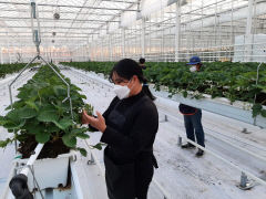 윤 대통령이 시찰한 경북 상주 스마트팜 혁신밸리는...첨단기술 장착한 신세대 농민의 산실