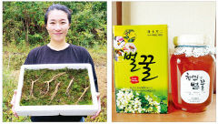 [제15회 아줌마대축제] 상주시, 6~7년 산양삼·천연벌꿀 파격할인