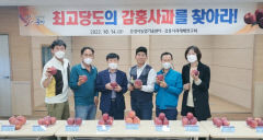 문경서 파인애플보다 더 달콤한 최고 당도 감홍사과 찾았다