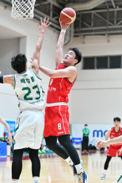 KBL D리그 11월 8일 개막…제한적 관중 입장 허용