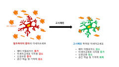 '히비스커스'로 알츠하이머성 치매 치료제 개발 가능성 열어