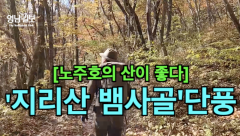 [영상뉴스] 굽이 굽이 가을 색으로 물든 `지리산 뱀사골`