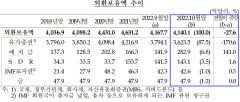 10월 외환보유액 27억6천만달러↓…석달째 감소세