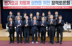 전기요금 차등제 도입 가능할까?