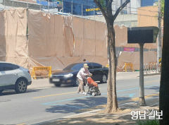 대구지역 보행자 교통사고 사망자 절반 이상 65세 이상 고령자…무단횡단 비중 높아