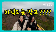[영상뉴스]대구 청년 `무등산`에 오르다
