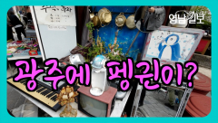 [영상뉴스]광주 도심지에  펭귄이?