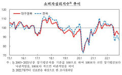 대구경북 소비자심리지수, 2개월 연속 하락