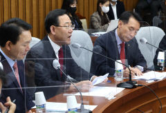 마냥 늦어지는 국민의힘 전당대회. 집권여당  체면 구길라...이준석 사태후 비상대책위 이어져