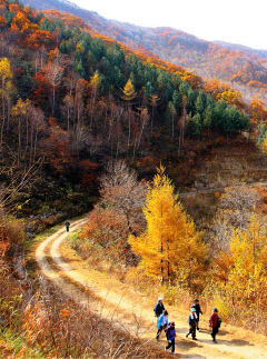 [김천 가볼만한 곳] 산행 즐기고 싶으면 모퉁이로…김천 '수도산 녹색 모티길'