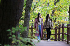 [영주 가볼만한 곳] 영주 '마실치유숲' 참나무·낙엽송 등 수려한 자연경관 자랑