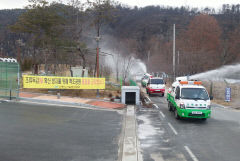 안동 백조 공원 AI 발생에 따른 차단방역 총력