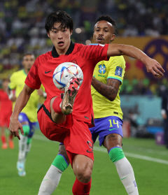 [카타르 월드컵] 조규성·이강인·백승호 '한국 축구 미래' 발견했다