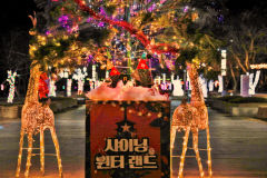 [경주 가볼만한 곳] 올 크리스마스는 '경주엑스포대공원'서 따뜻한 빛과 함께
