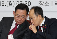 국민의힘 