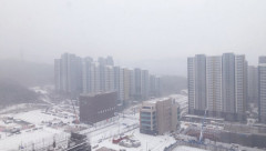 대구 눈, 충남·호남·제주 24일까지 폭설…23일 한파 절정