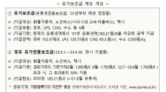 정부, 