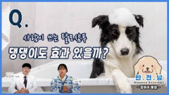 [반.전.남] 탈모샴푸 강아지에게도 효과가 있을까?