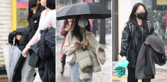 [포토뉴스] 오락가락 비에 포근한 날씨