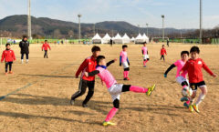 경주 겨울철 전지 훈련지로 인기…3개 종목 100개 팀, 2천 명의 선수 방문