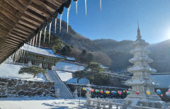 [봉화 가볼만한 곳] '봉화 축서사' 눈 덮인 산 사이 지는 해 보며 마음까지 힐링