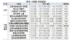 정부 