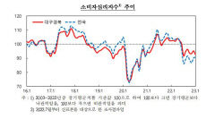 대구경북 소비자심리지수 7개월 연속 '비관적'