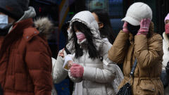 대구·경북 주말 최저 -12~-5℃ 추운 날씨…울릉도·독도엔 눈