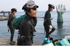 동해안 해녀 10명 중 6명 40년 간 '물질'했다···주수입원은 '미역'