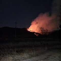 경북 울진 야산에서 원인미상 산불···0.9ha 태우고 1시간57분만 진화