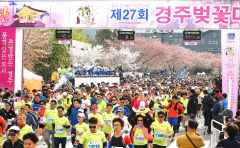 4년 만에 열리는 경주벚꽃마라톤대회 참가 열기 뜨겁다…코로나19 이전보다 2배 접수