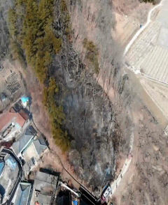 경북 김천 주택·도롯가서 '불'…임야 330㎡ 태우고 1시간여 만에 진화