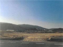 [공매 정보] 경주시 북군동 산98 임야