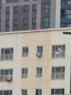 삼일절, 태극기가 사라졌다?