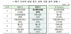 지난해 대구 소비자상담 어떤 품목이 많았나 보니