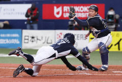WBC 한국, 호주와 조2위 다툼·일본과 자존심 대결