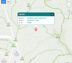 대구 수성구 야산 산불 1시간여만 주불 진화