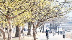 [포토뉴스] 23.3℃까지 오른 대구의 봄날